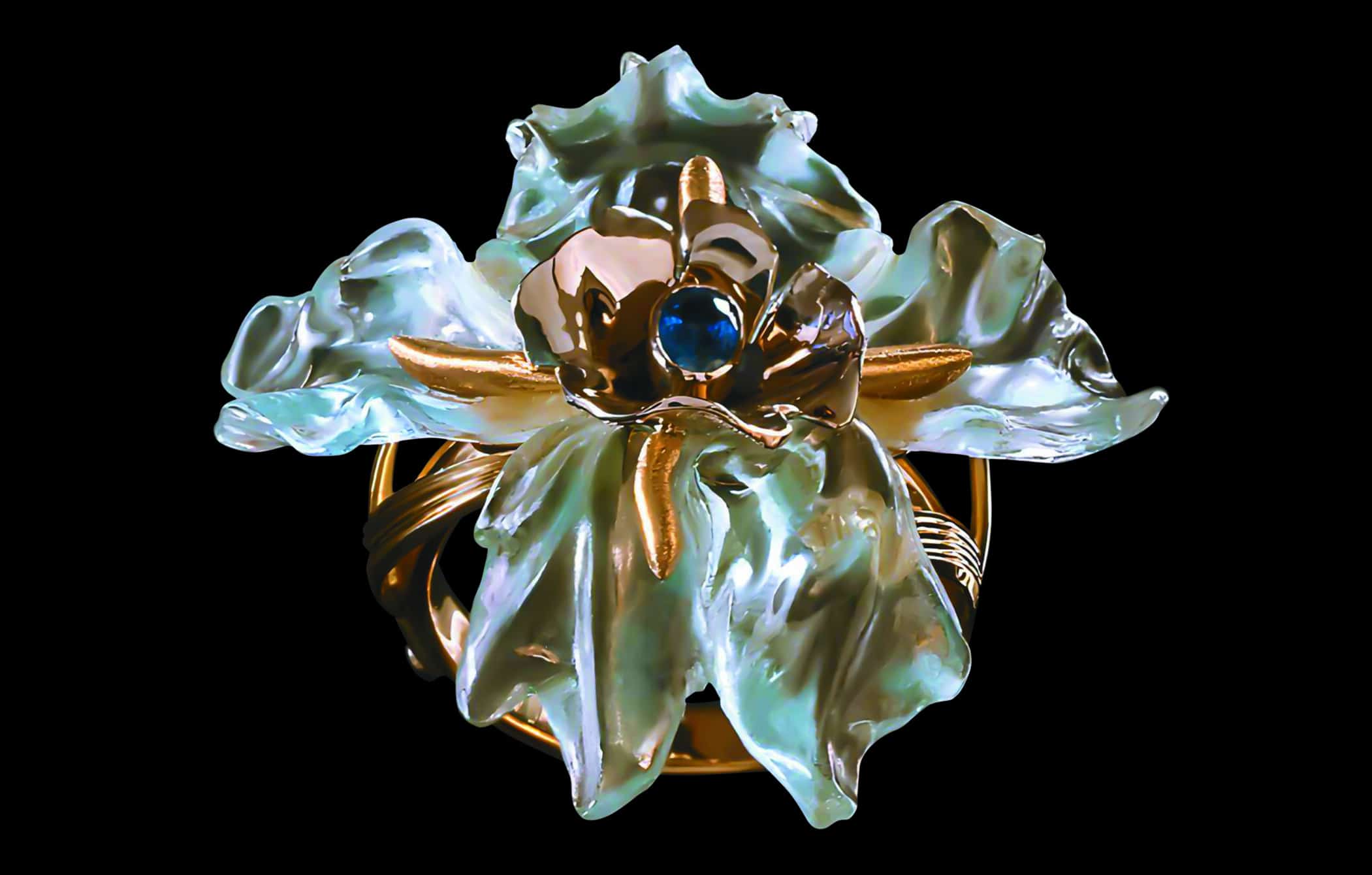 Ice  Iris photo